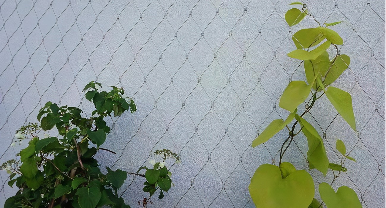 不銹鋼植物攀爬繩網的優點